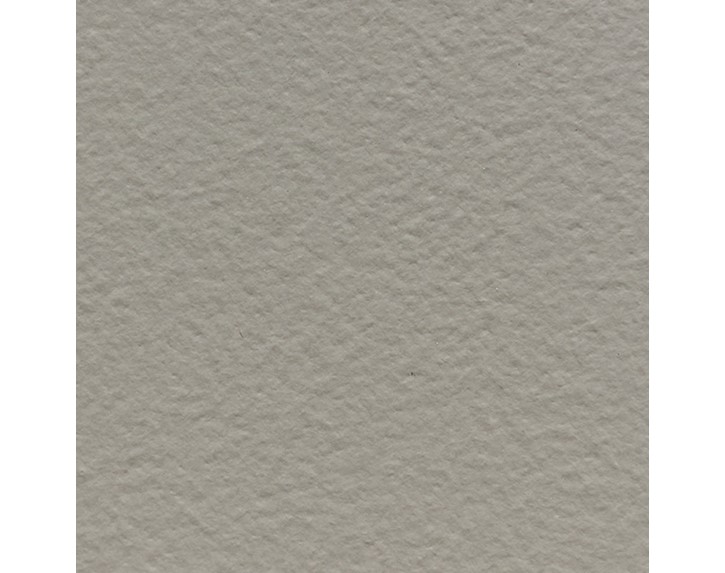 Silver Gray Thumbnail for Silver Gray